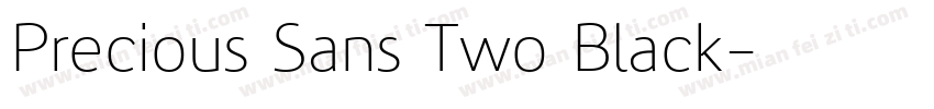 Precious Sans Two Black字体转换
